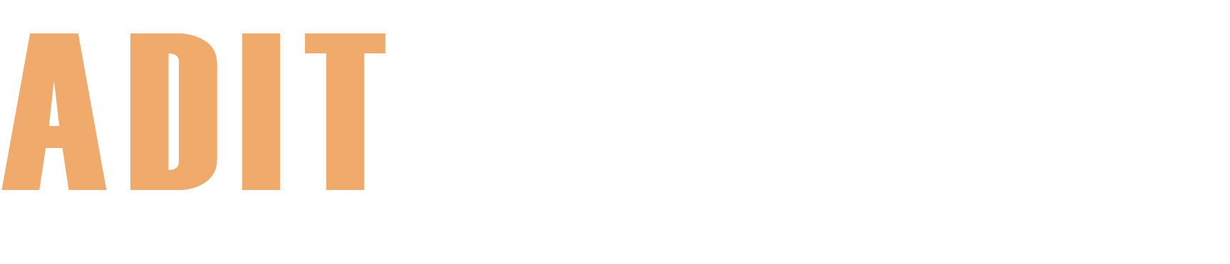 Nav logo